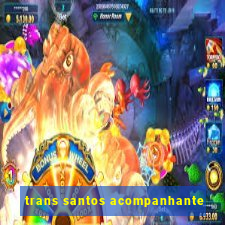 trans santos acompanhante