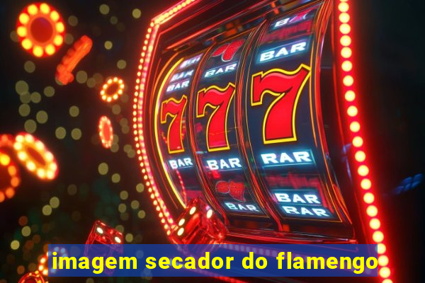 imagem secador do flamengo