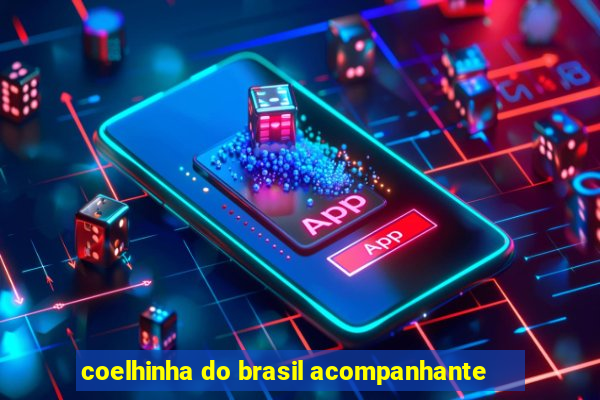 coelhinha do brasil acompanhante