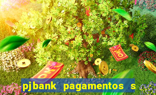 pjbank pagamentos s a 1