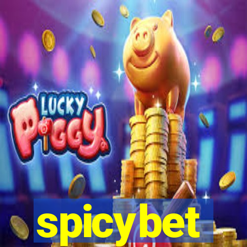 spicybet-3.com