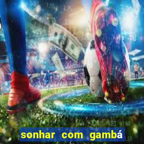 sonhar com gambá jogo do bicho