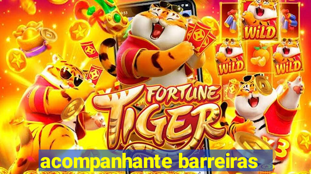 acompanhante barreiras