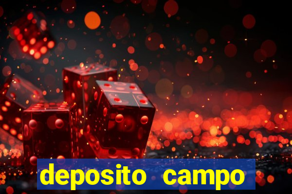 deposito campo grande santos